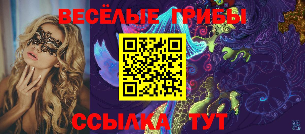 Галлюциногенные грибы Psilocybe  что такое наркотик  Петрозаводск  Вход с VPN  Псилоцибиновые грибы мицелий 